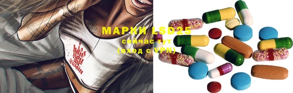 a pvp Бородино