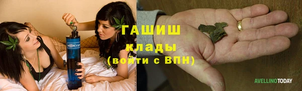 a pvp Бородино