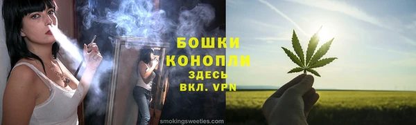 a pvp Бородино