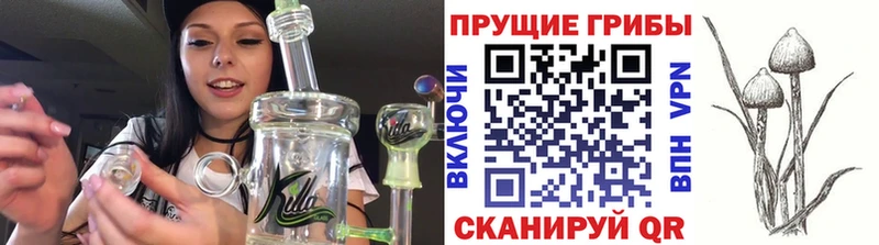 Галлюциногенные грибы мухоморы  blacksprut рабочий сайт  Бузулук 